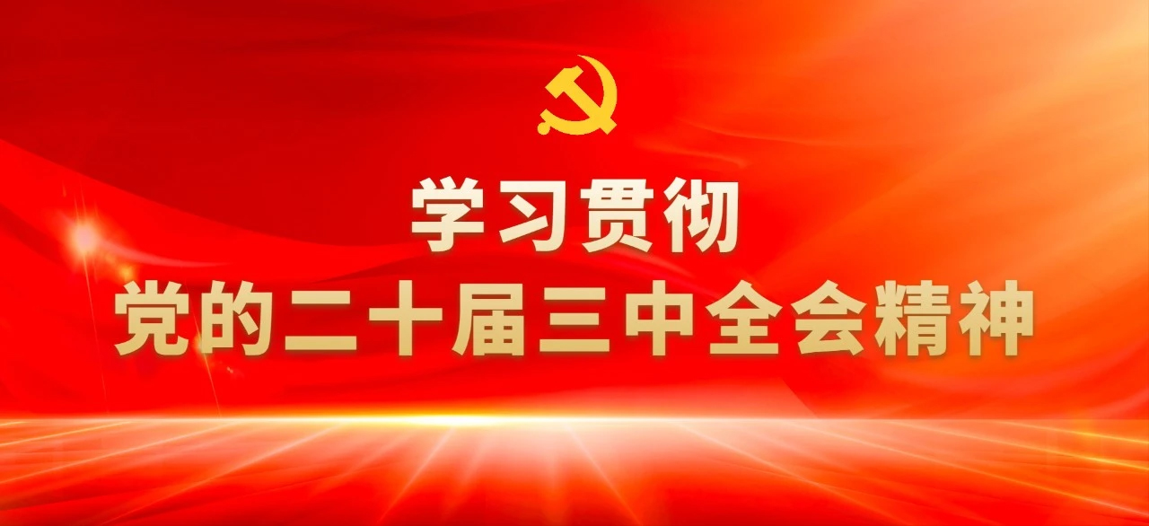 读懂党的二十届三中全会③：9组“民生热词”背后的知识点